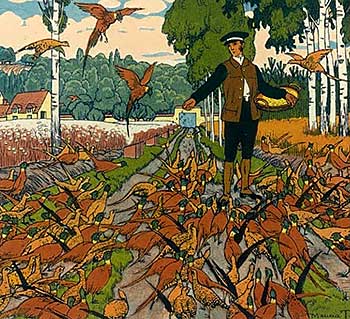Agrainage des faisans d'élevage