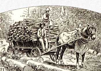 Larousse: transport du bois de chauffe